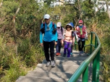 Thumbnail of P2190099.jpg