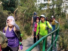 Thumbnail of P2190105.jpg