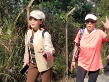 Thumbnail of P2190113.jpg