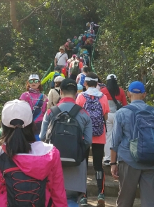 Thumbnail of P2190114.jpg