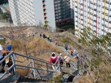 Thumbnail of P2190121.jpg