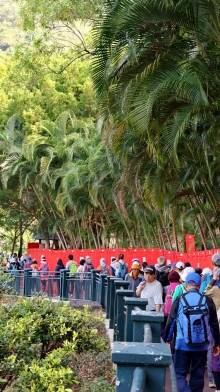 Thumbnail of pic_KL_Sin_018.jpg