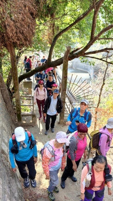 Thumbnail of pic_KL_Sin_033.jpg