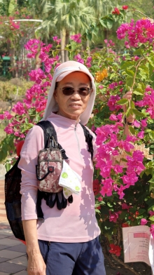 Thumbnail of pic_KL_Sin_080.jpg