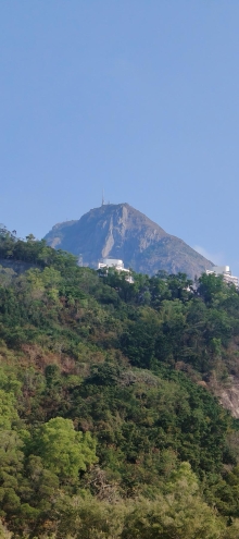 Thumbnail of pic_Wong_022.jpg