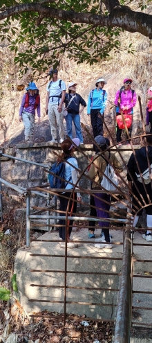 Thumbnail of pic_Wong_028.jpg