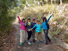 Thumbnail of P222011.jpg