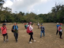 Thumbnail of P222038.jpg