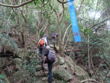 Thumbnail of pic_Sun_Chow_013.JPG