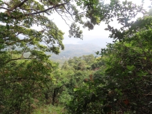 Thumbnail of pic_Sun_Chow_015.JPG