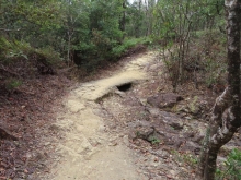 Thumbnail of pic_Sun_Chow_038.JPG