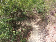 Thumbnail of pic_Sun_Chow_051.JPG