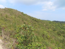 Thumbnail of pic_Sun_Chow_055.JPG