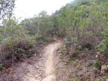 Thumbnail of pic_Sun_Chow_068.JPG