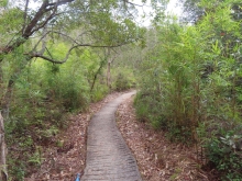 Thumbnail of pic_Sun_Chow_086.JPG