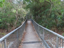 Thumbnail of pic_Sun_Chow_091.JPG