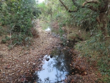 Thumbnail of pic_Sun_Chow_094.JPG