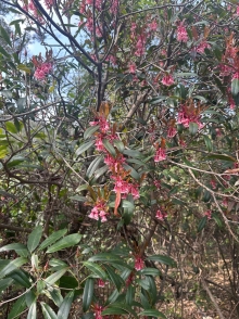 Thumbnail of pic_TB_Tung_006.JPG