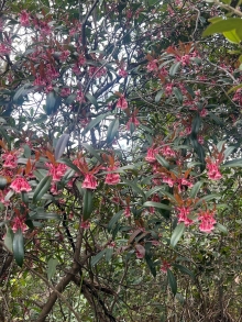 Thumbnail of pic_Winnie_Chung_016.JPG