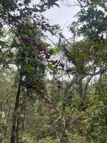 Thumbnail of pic_Winnie_Chung_031.JPG