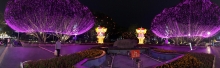 Thumbnail of 20260306_074-2.JPG