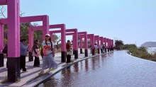 Thumbnail of pic_A_wai_066.jpg