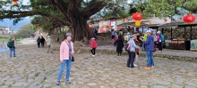 Thumbnail of pic_Teresa_Tse_074.jpg