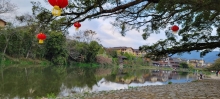 Thumbnail of pic_Teresa_Tse_078.jpg