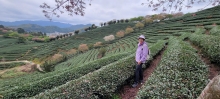 Thumbnail of pic_Teresa_Tse_109.jpg