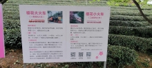 Thumbnail of pic_Teresa_Tse_117.jpg