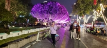 Thumbnail of pic_Teresa_Tse_141.jpg