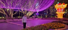 Thumbnail of pic_Teresa_Tse_144.jpg