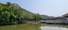 Thumbnail of pic_Teresa_Tse_220.jpg