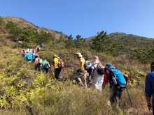 Thumbnail of P3150016.JPG