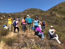 Thumbnail of P3150017.JPG