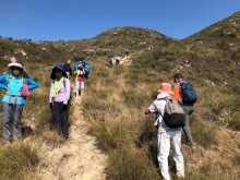 Thumbnail of P3150018.JPG