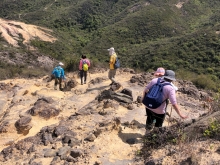 Thumbnail of P3150029.JPG