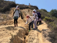 Thumbnail of P3150030.JPG