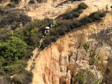 Thumbnail of P3150041.JPG