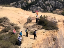 Thumbnail of P3150042.JPG