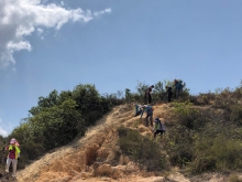 Thumbnail of P3150058.JPG