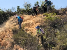 Thumbnail of P3150059.JPG