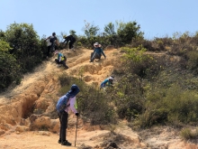 Thumbnail of P3150060.JPG