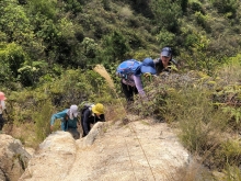 Thumbnail of P3150064.JPG