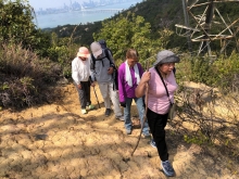 Thumbnail of P3150070.JPG