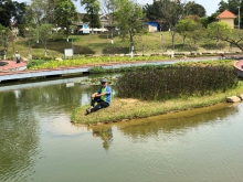 Thumbnail of P3220041.JPG