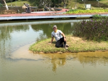 Thumbnail of P3220045.JPG