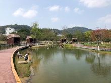 Thumbnail of P3220051.JPG