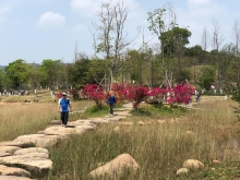 Thumbnail of P3220071.JPG