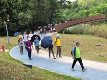 Thumbnail of P3220081.JPG